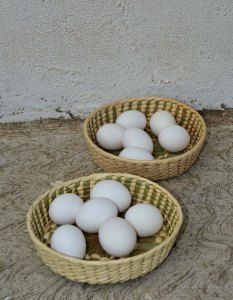 eggsbasketsSmall