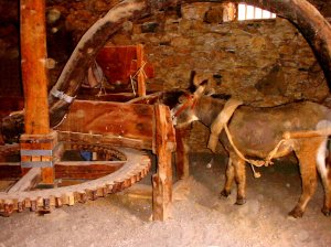 Horse_mill_045493