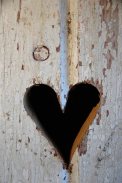 heart-in-wood